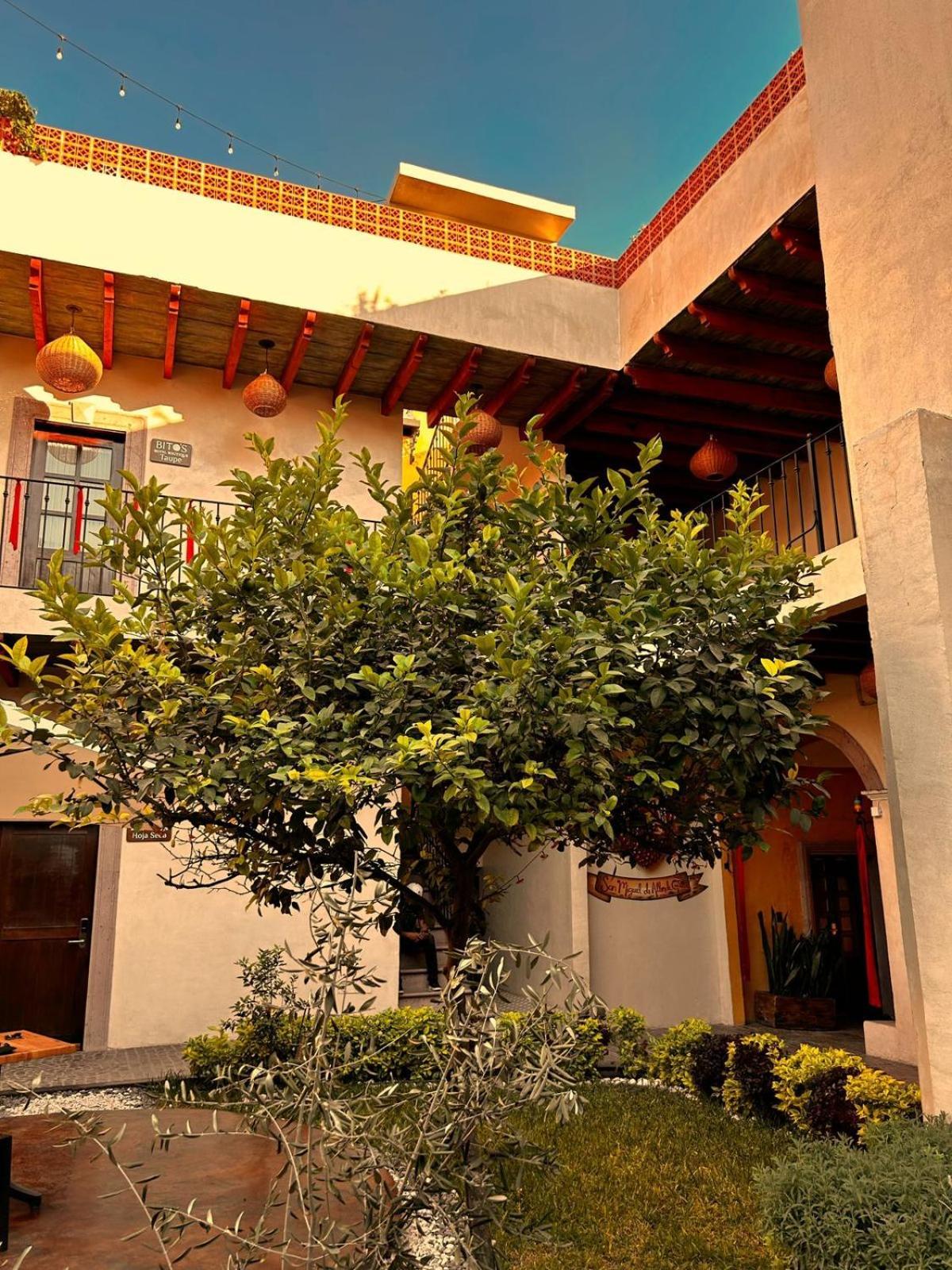 Bito'S Hotel Boutique San Miguel de Allende Zewnętrze zdjęcie