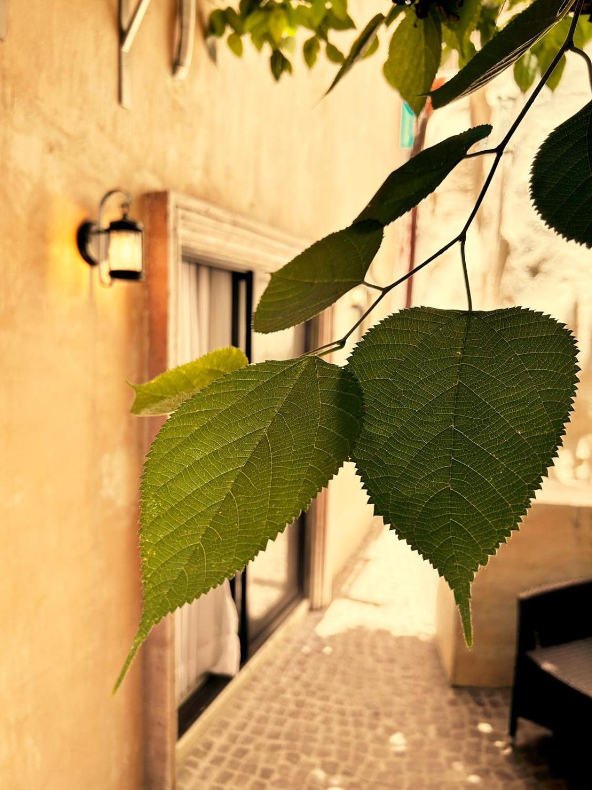 Bito'S Hotel Boutique San Miguel de Allende Zewnętrze zdjęcie